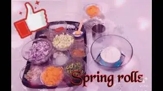Veg Spring Roll with home made sheet|| Vegetable Spring Roll|| How to made Spring Roll at home