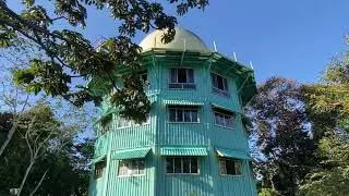 Canopy Tower, a great spot for birdwatching 🦜