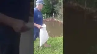 Хорошо иметь свой прудик в деревне