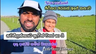 අහම්බෙන් නවසීලන්තය ඇවිත් වසර 10 ක කතාව #travelfarmer
