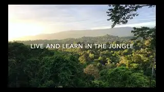 Gapforce | Adventure Guide Training