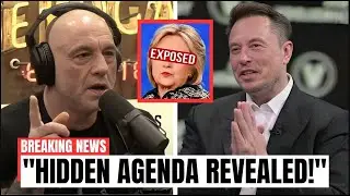 Joe Rogan Left Speechless as Elon Musk Blasts Hillary Clinton in Unfiltered On-Air Moment