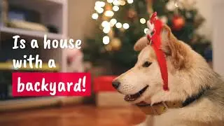 What I Really Want for Christmas...