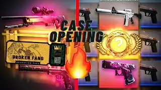 CSGO Operation Broken Fang Case Opening || INDIAN 100 STARS 😍😍