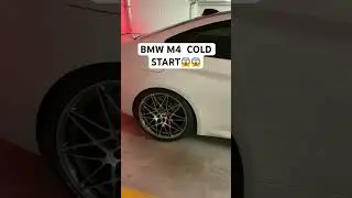 BMW M4 F82 Competition Cold Start😱 #bmw #bmwm4f82 #bmwm4competition #exhaust #startup #coldstart