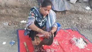 Fish master cutting is live#live