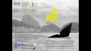 Urban Bay ( Ba&iacute;a Urbana )