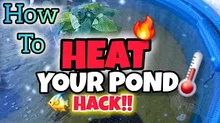 How to Heat your POND Hack Saved My Fish! (Budget-Friendly & Easy)