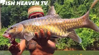 MANCING DI SUNGAI LARANGAN SUKU DAYAK YANG ISINYA IKAN-IKAN TERMAHAL DI DUNIA ‼️ PART 1 ‼️ 2022