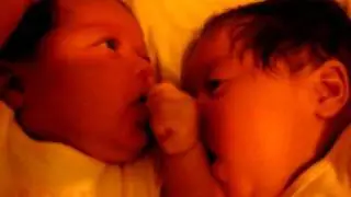 twins eating each other