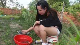 Beautiful Girl Catch Crab#1 #Shorts