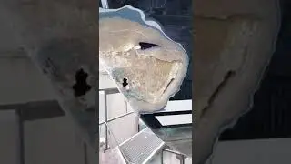GfK Reparatur  - Bugschaden