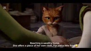 A Mother&rsquo;s Sacrifice: Desert Cat&rsquo;s Struggle for Her Kittens