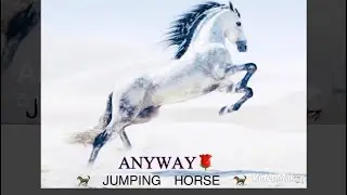 Jumping Horse - Anyway 