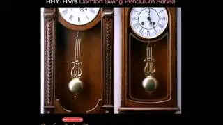 Comfort Swing Pendulum.mpg