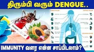 Healthy Foods to Boost Immunity | Dengue Prevention Diet