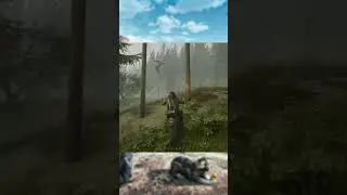 Days Gone Why Wont The Bike Move