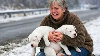 Una señora anciana salva a 2 dogos argentinos congelados — pero eso trajo consecuencias que…