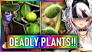 EUROPEAN shocked about AUSTRALIA'S WILDLIFE ! | Moreparz React