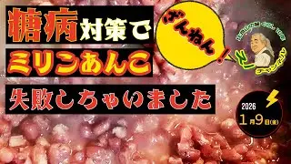 大失敗 低GIミリンあんこ作ってみた 糖尿病対策　老人生活