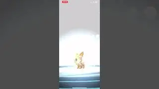Evoluci&oacute;n de lillipup shiny