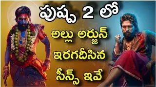 Pushpa 2 Pan India Industry Hit | Pushpa 2 em goppa ? #alluarjun #pushpa2 #sukumar #iconstar