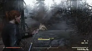 Fallout 76 Are Enemies Tougher? Public Test Server
