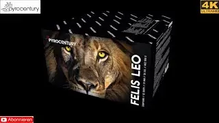 Pyrocentury - Felis Leo (Neuheit 2024) Stark!