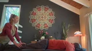 Spinal Energetics Promo video   SD 480p