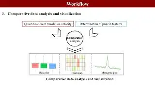 VeloPro: deciphers association patterns between translation velocity and protein structure features