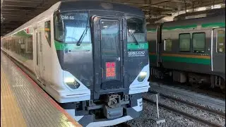E257系緑塗装🟢の動画です。