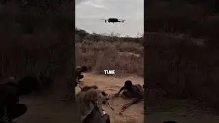 #zarooratrishta