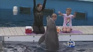 Tour the Gulfarium