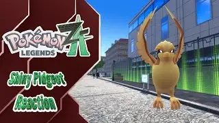 Mega Dex Quest: Shiny Pidgeot! Pokemon Legends ZA!