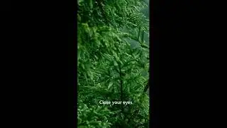 Heavy Rain in a Forest Cabin 🌲 Window Rain Sounds for Deep Sleep
