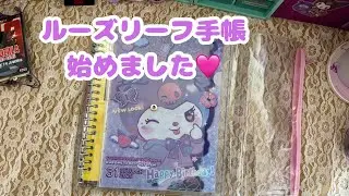 ルーズリーフ手帳始めました🩷