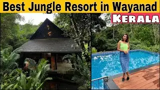 Amrezy Resort and Spa In Wayanad | Best Jungle  Resort in Wayanad | Family Friendly stay in Vythiri