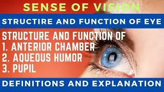 structure of eye | what is anterior chamber? | what is aqueous humor? | what is pupil? |