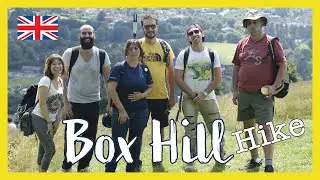 Box Hill | 🇬🇧  Top 10 walks in South East | 🇬🇧 Hiking UK | England