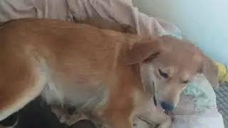 My stress realver