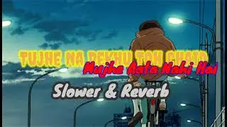 Tujhe Na Dekhu Toh Chain - slowed  + Reverb | Divya Bharti | Kumar sahu | #90s  | Fear nikki|