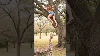 Girl Escapes Python Attack by Climbing a Tree  🐍🌳😱 #python #girl #girlvspython #python