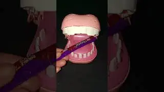 💥BABY HIPPO DENTIST EATING CHOCOLATE JAMMIN💥#asmr #asmrsounds #shortvideo #shorts