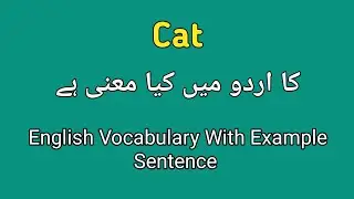Cat meaning in Urdu | cat ka matlab