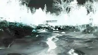 Reigns - Adder's Root