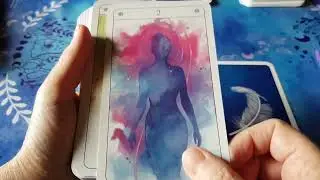 L'Oracle des signes de Anne Tuffigo et les illustrations de Licea 🕊