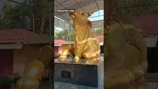 Jai bhole nath ki ❤️🙏 Bhakti Blogs ❤️#viralvideo 😍#shorts😛 like #subscribe karo bahi ❤️🙇😊
