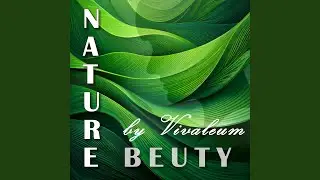 Nature Beauty