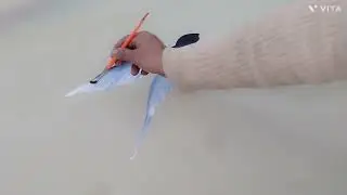 Full detail video of 3D Bird, half aaj, half kal😊