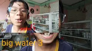 Waters to biggers ors biggests waters